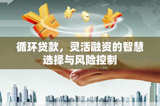 伊犁循环贷款，灵活融资的智慧选择与风险控制