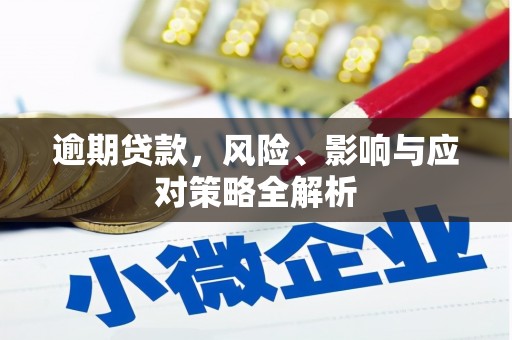 巴东逾期贷款，风险、影响与应对策略全解析