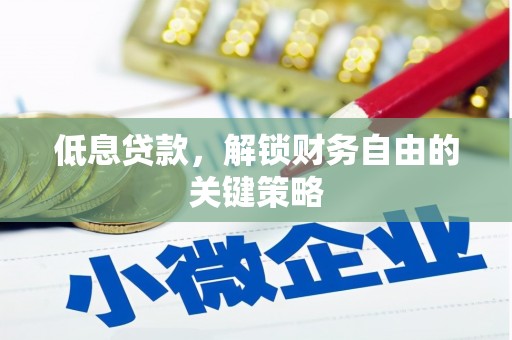 沙雅低息贷款，解锁财务自由的关键策略