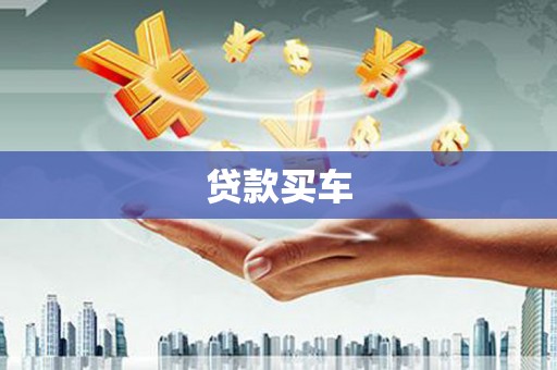 稻城贷款买车