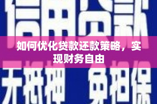 太和如何优化贷款还款策略，实现财务自由