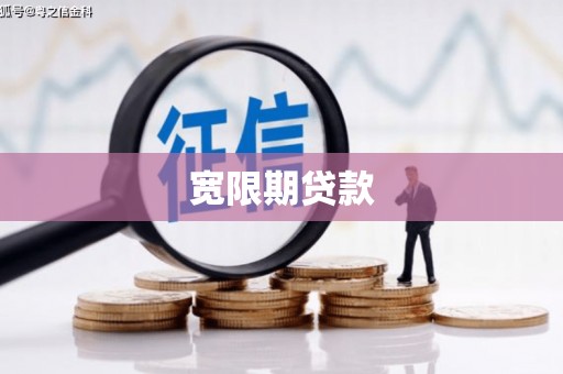 岱岳宽限期贷款