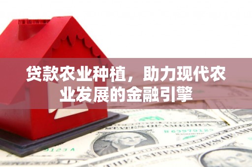 新青贷款农业种植，助力现代农业发展的金融引擎