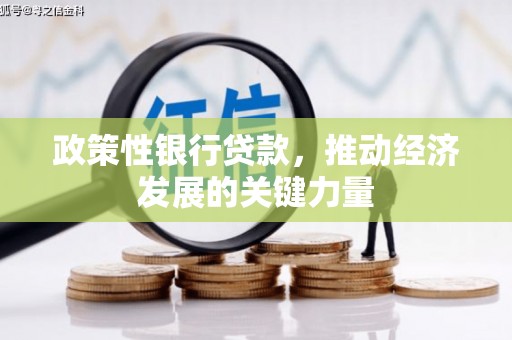 丰县政策性银行贷款，推动经济发展的关键力量