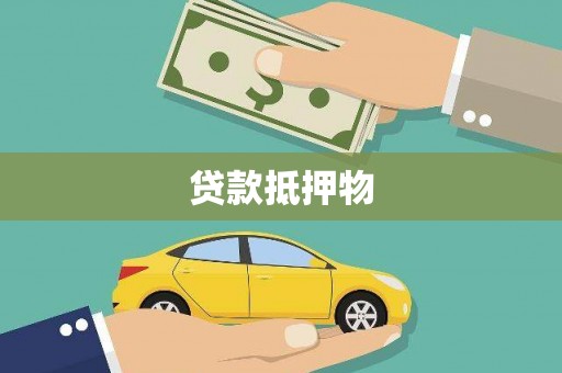 天心贷款抵押物