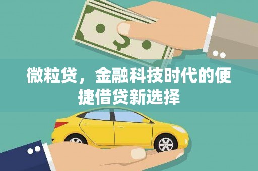 望谟微粒贷，金融科技时代的便捷借贷新选择