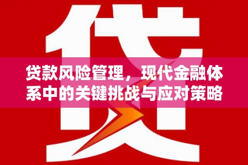 息县贷款风险管理，现代金融体系中的关键挑战与应对策略