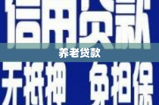 修水养老贷款