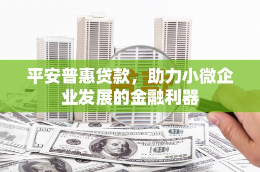 金宁平安普惠贷款，助力小微企业发展的金融利器