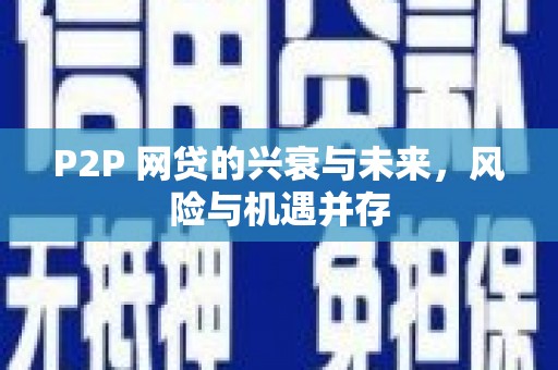 田尾P2P 网贷的兴衰与未来，风险与机遇并存