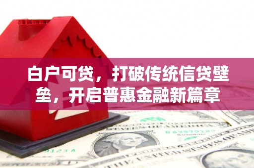 池上白户可贷，打破传统信贷壁垒，开启普惠金融新篇章