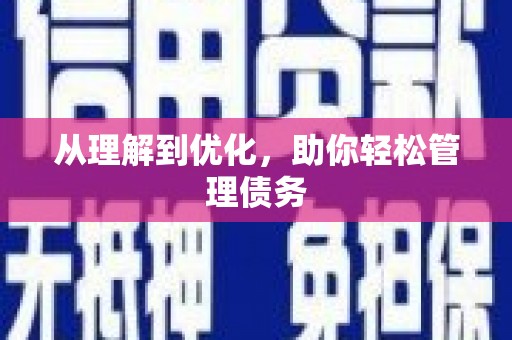 莱西从理解到优化，助你轻松管理债务