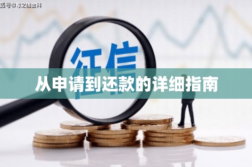 贞丰从申请到还款的详细指南