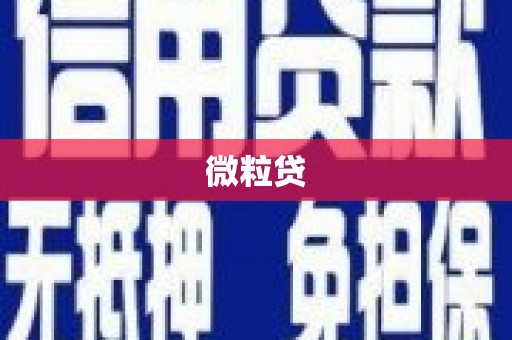 博湖微粒贷