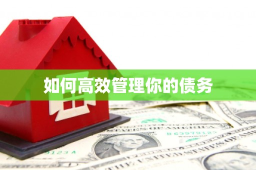 北关如何高效管理你的债务