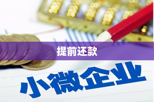 萍乡提前还款
