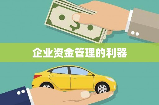 寿丰企业资金管理的利器