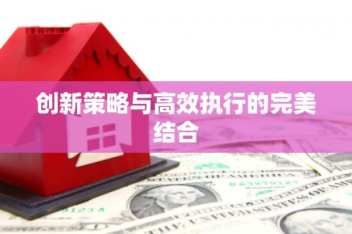 九江创新策略与高效执行的完美结合