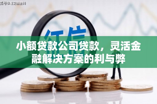 浑源小额贷款公司贷款，灵活金融解决方案的利与弊