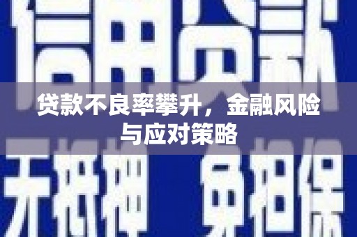 岳塘贷款不良率攀升，金融风险与应对策略